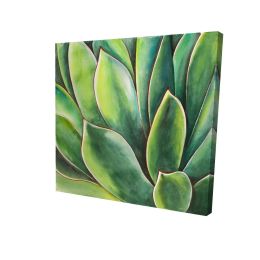 Watercolor agave plant - 12x12 Print on canvas