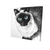 Blue eyes siamese cat - 08x08 Print on canvas