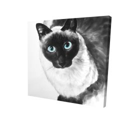 Blue eyes siamese cat - 08x08 Print on canvas