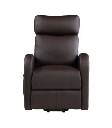 Ricardo Recliner w/Power Lift; Brown PU