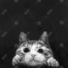 Curious cat - 32x32 Print on canvas