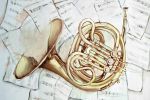 Horn on music sheet - 20x30 Print on canvas
