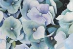 Hydrangea plant - 12x18 Print on canvas