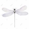 Delicate dragonfly - 12x12 Print on canvas