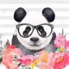Panda with glasses - 08x08 Print on canvas