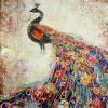 Majestic peacock - 08x08 Print on canvas