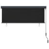 vidaXL Outdoor Roller Blind 66.9"x98.4" Anthracite