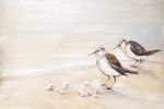 Two sandpipers on the beach - 20x30 Print on canvas