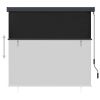 vidaXL Outdoor Roller Blind 66.9"x98.4" Anthracite
