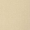 vidaXL Outdoor Roller Blind Cream 31.5"x55.1" HDPE