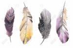 Bohemian feather set - 20x30 Print on canvas