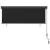 vidaXL Outdoor Roller Blind 63"x98.4" Anthracite